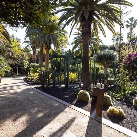 Stylish Urban In Cruz, Plaza Militar * סנטה קרוז דה טנריף