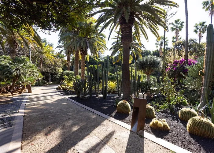 Stylish Urban In Cruz, Plaza Militar * סנטה קרוז דה טנריף